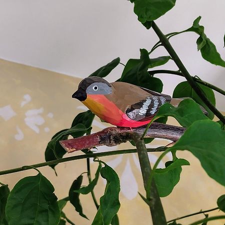 פארגה Harmony Resort מראה חיצוני תמונה