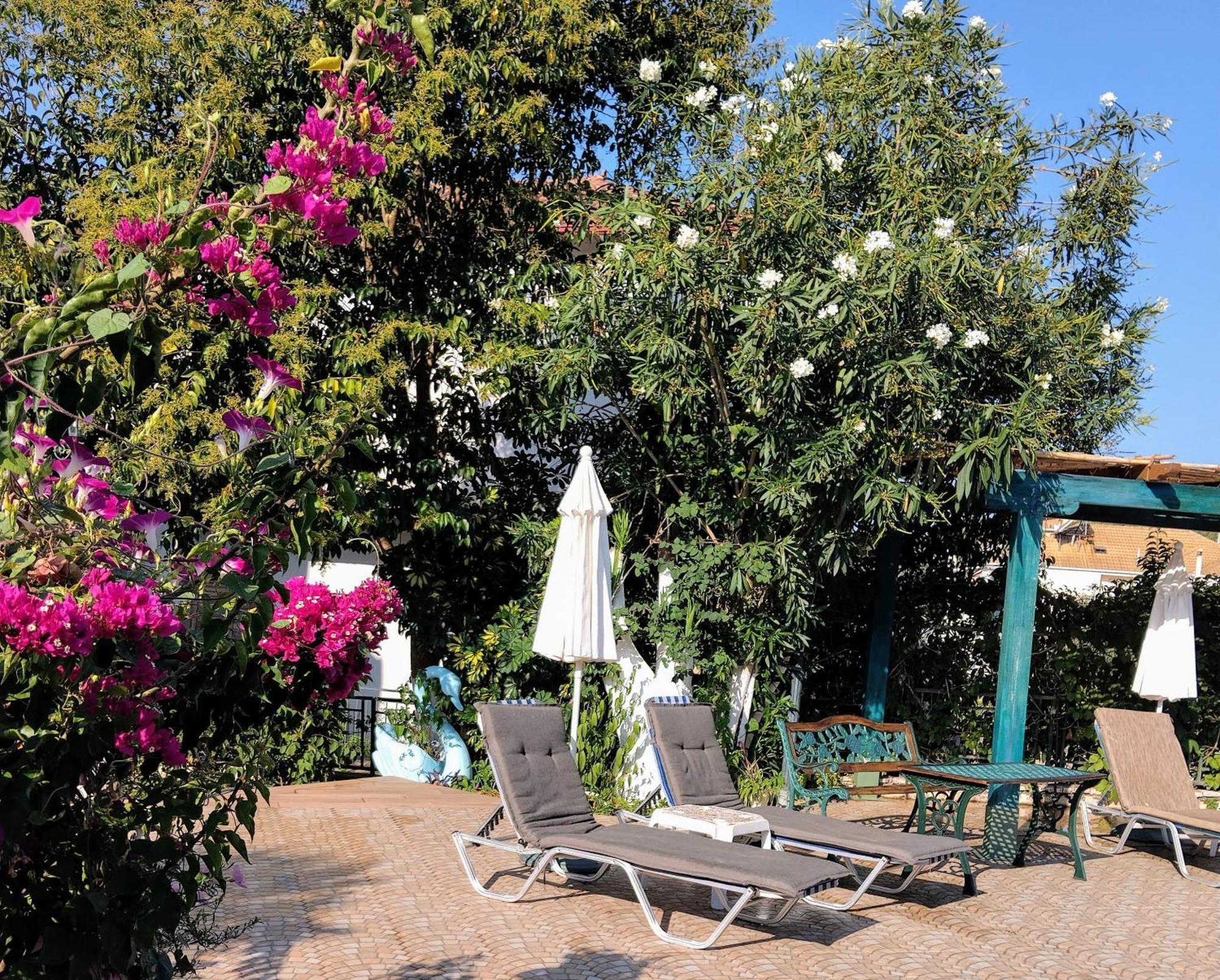 פארגה Harmony Resort מראה חיצוני תמונה