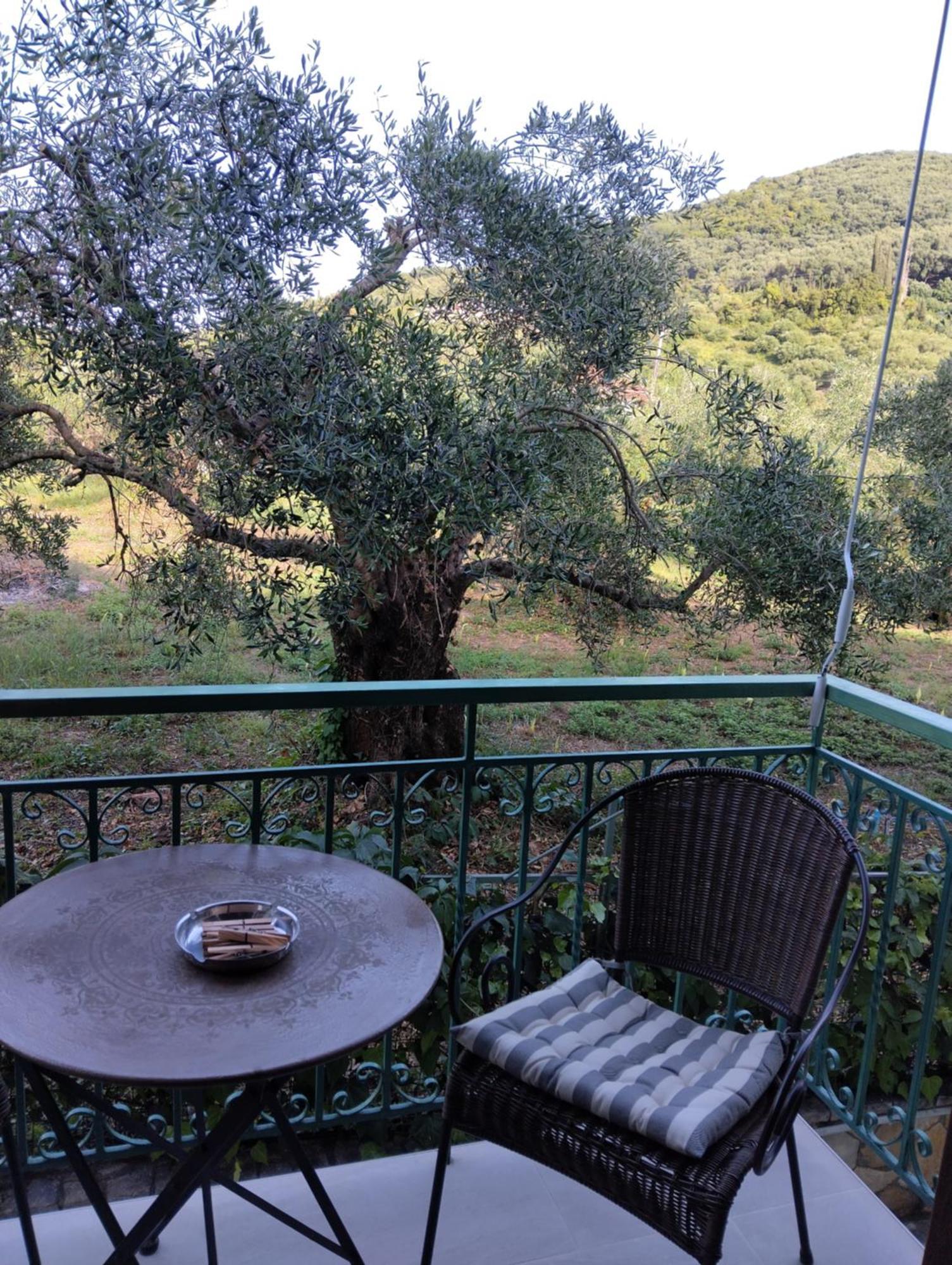 פארגה Harmony Resort מראה חיצוני תמונה