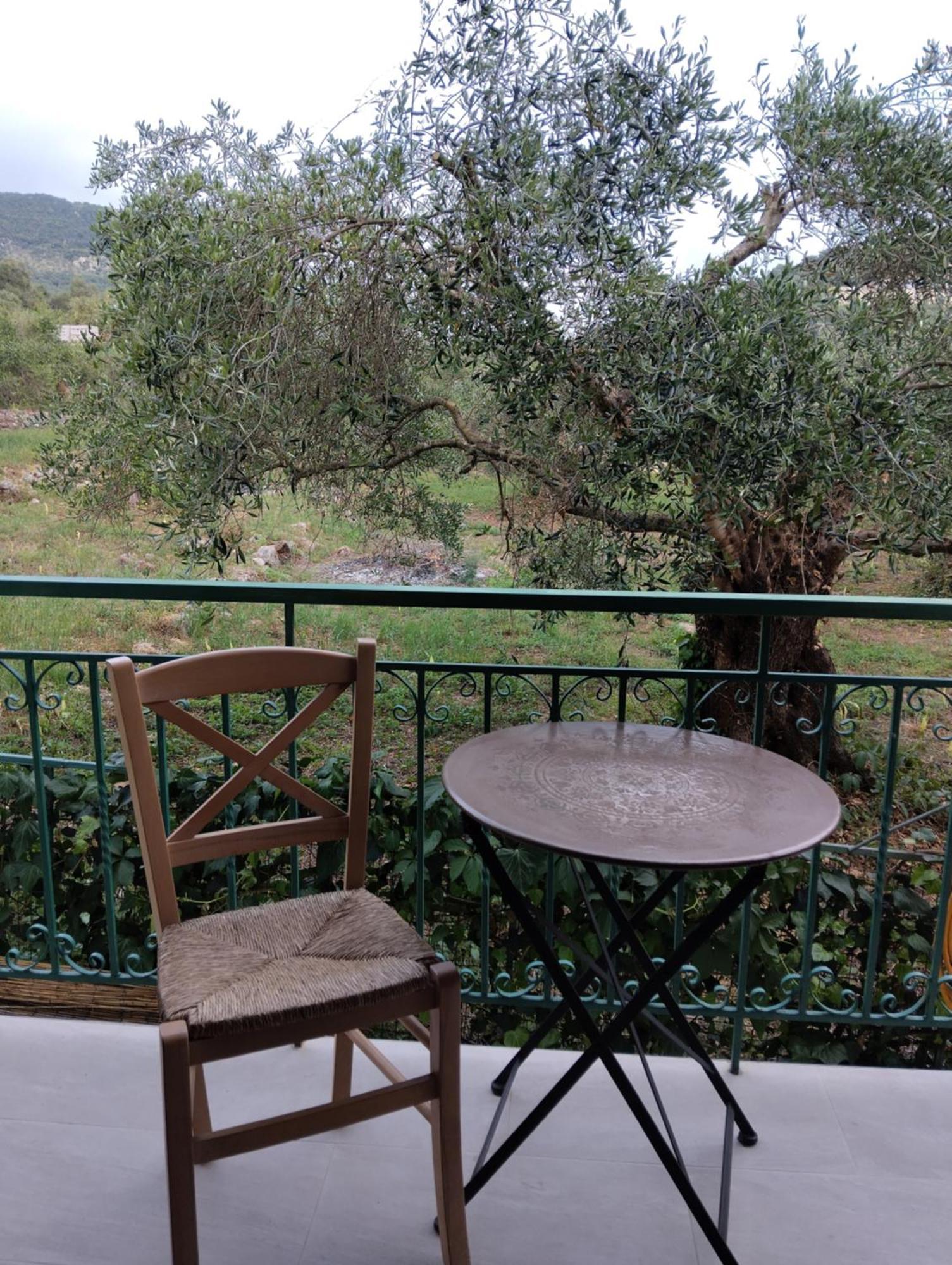 פארגה Harmony Resort מראה חיצוני תמונה